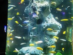 -福州罗源湾海洋世界旅游区