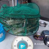 粗声粗气，而系同你有说有笑