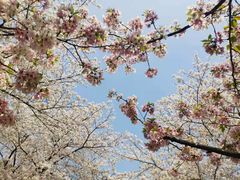 -苏州上方山国家森林公园