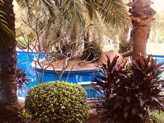 -海悦山庄酒店-花园泳池