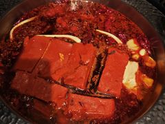 -晓宇重庆火锅(赛格国际购物中心店)