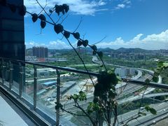 -添星码头茶餐厅(松坪山店)