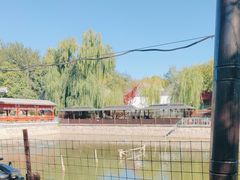 -尚庄度假村·庭台树下·户外烧烤·团建CS·轰趴营地(上庄水库店)