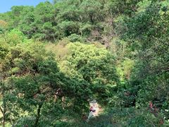 -云溪植物园