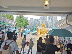 -海合安成都极地海洋公园