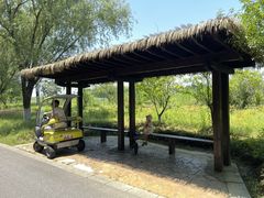 -苏州太湖国家湿地公园