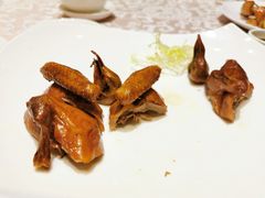 红烧乳鸽-凤凰楼酒家·粤宴点心(华强北店)