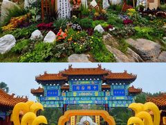 -中国翰园碑林