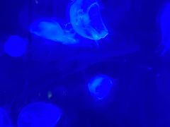 -南昌海洋公园