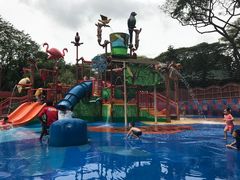 -新加坡飞禽公园