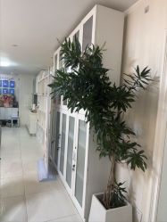 -产后帮产后修复(首城国际店)