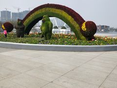 -映月湖中央公园