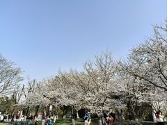 -堤角公园