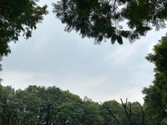 -重庆彩云湖湿地公园