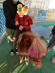 -萌宠亲子动物乐园(槐房万达店)