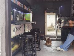 -鱼记咖啡馆