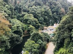 -云南屏边大围山国家公园