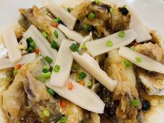 -寻味顺德·南记酒家·传统顺德菜·鱼生(广源路店)