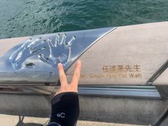 -星光大道