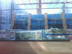 海鲜柜-东方之珠海鲜酒楼(南开店)
