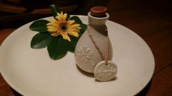 android_upload_pic-悦椿SPA