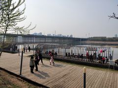 -长白岛森林公园