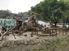 -成都动物园