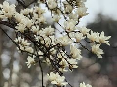 -塔子山公园