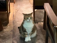 -咖法森林·咖啡  酒吧(天河店)