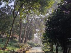 -无锡梅园公园