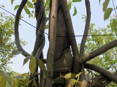 -东方假日田园-停车场