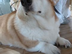 -喵小馆·猫咖狗咖猪咖·饮品店