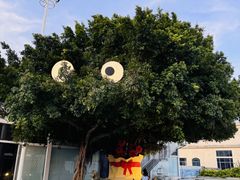 -巨鹏飞梦幻海岸