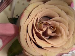 -Rosy洛绮·蛋糕咖啡店