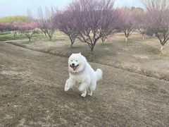 -南湖湿地公园