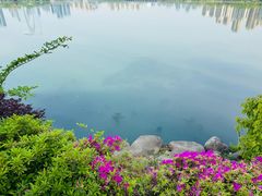 -金鸡湖景区