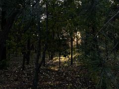 -森林公园(尖草坪区)