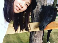 -清迈夜间动物园