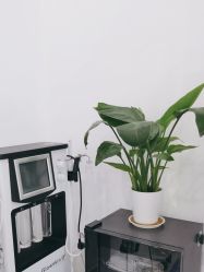 -Cream88颜皮肤管理中心