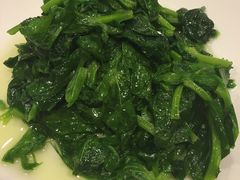 酒酿油麦菜-老吉士酒家(天平路店)