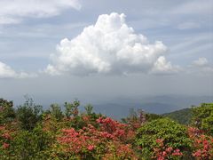 -大围山国家森林公园