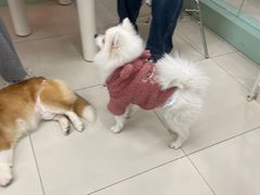 -怪兽屋·羊驼·猫咖·狗咖(俊华广场店)