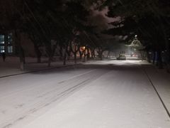-东北大学(南湖校区)