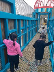 -季高兔窝窝亲子园(上海薰衣草公园店)