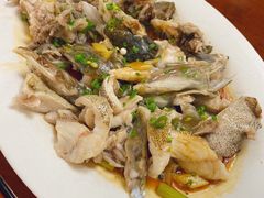 -新金盛·海鲜酒楼(盐田店)