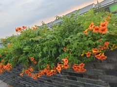-相门城墙文化休闲景区