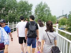 -白洋淀景区