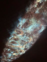 -翱翔飞越地平线