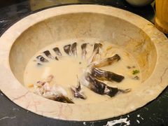 -云海肴云南菜·蒸汽石锅鱼(青岛万象城店)