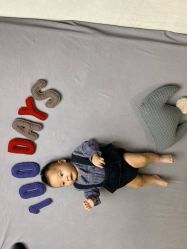 -星豆豆儿童摄影(南郊太白南路店)